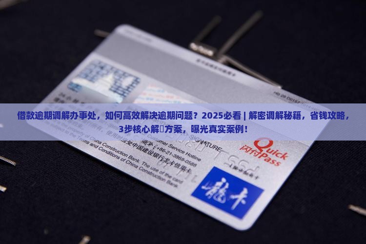 借款逾期调解办事处