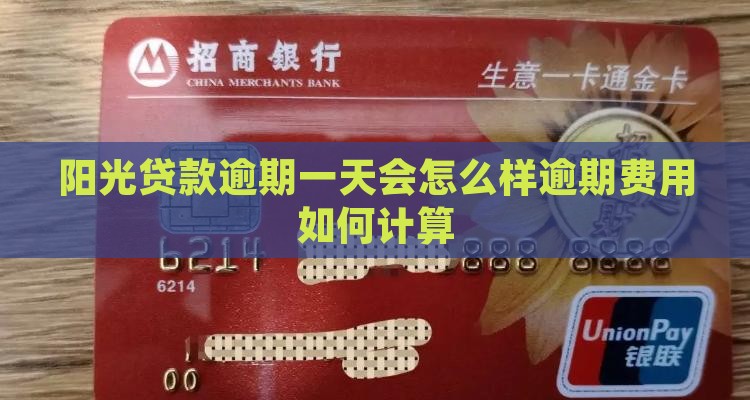 阳光贷款逾期一天会怎么样逾期费用如何计算