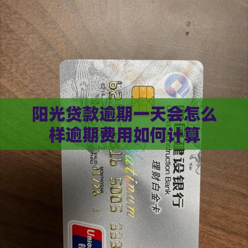 阳光贷款逾期一天会怎么样逾期费用如何计算