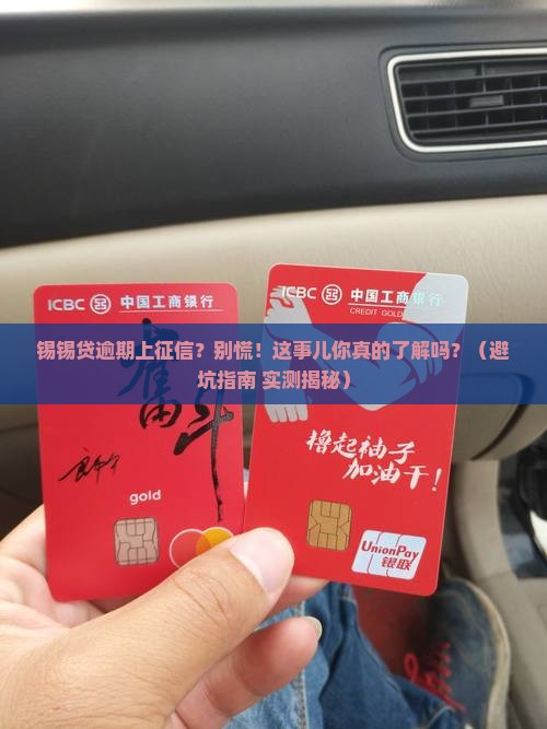 锡锡贷逾期上征信