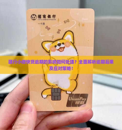 建行小微快贷逾期的影响如何处理
