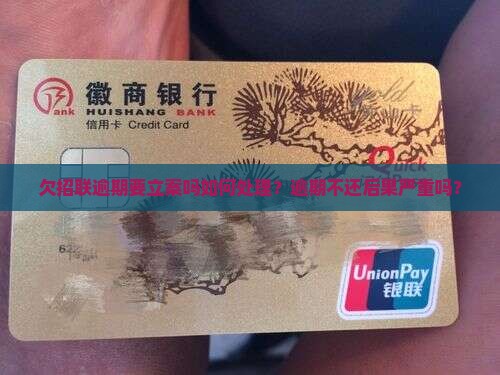 欠招联逾期要立案吗如何处理
