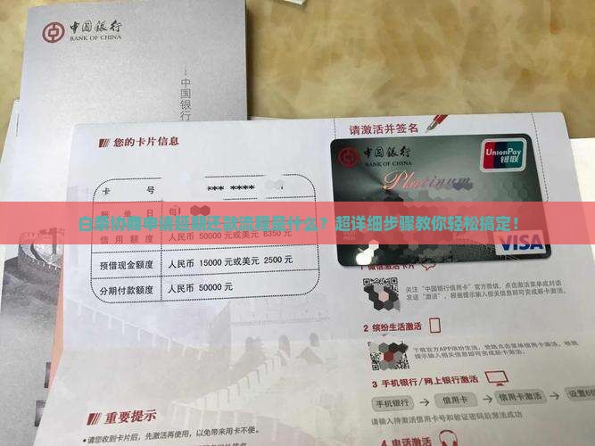 白条协商申请延期还款流程是什么