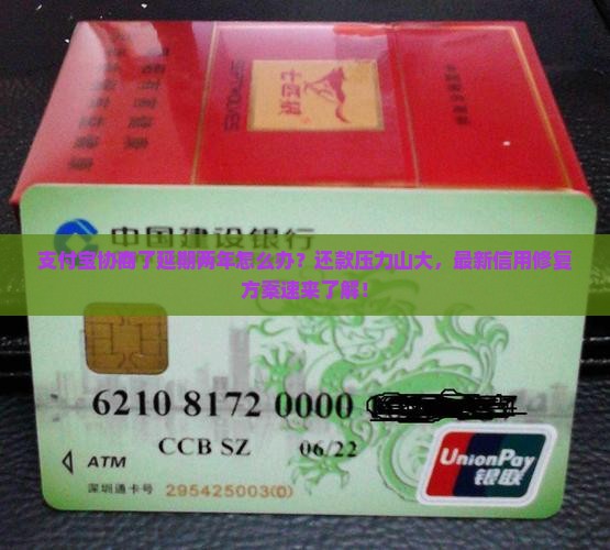 支付宝协商了延期两年怎么办