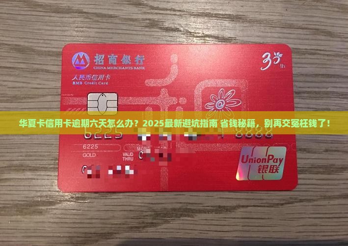 华夏卡信用卡逾期六天应该如何处理