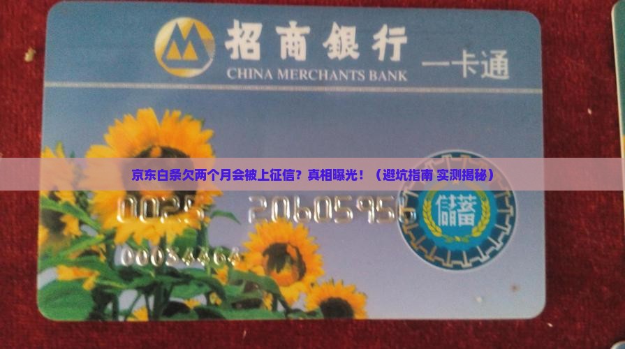 京东白条欠两个月上征信