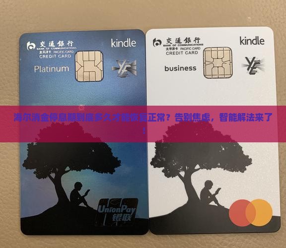 海尔消金停息期是多久才能恢复正常