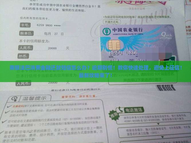 南银法巴消费金融还款短信怎么办