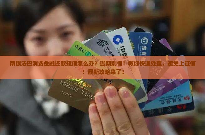 南银法巴消费金融还款短信怎么办