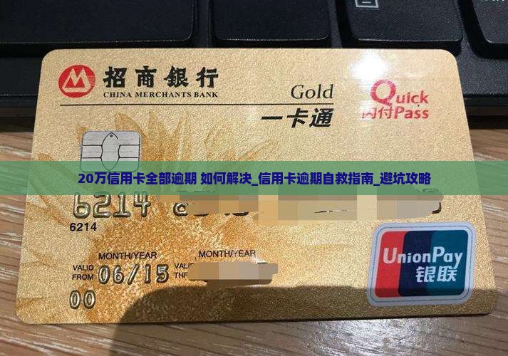 20万信用卡全部逾期如何解决