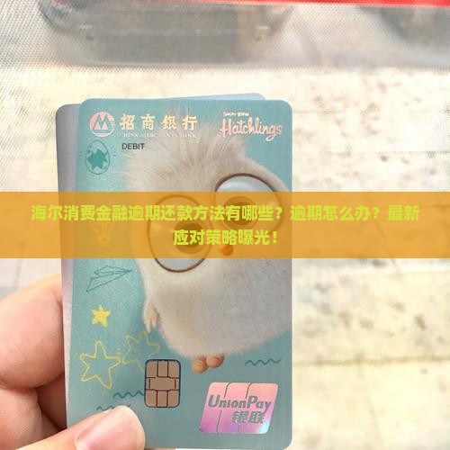 海尔消费金融逾期还款方法有哪些