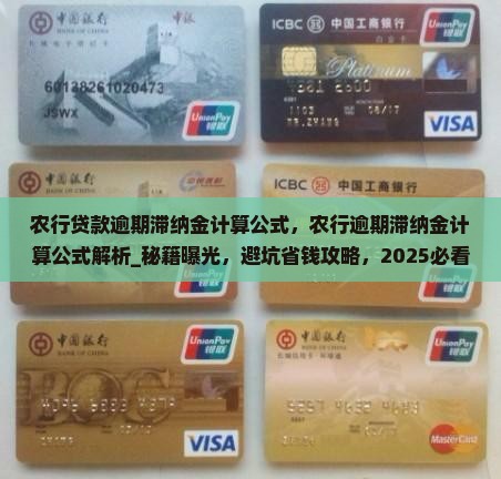 农行贷款逾期滞纳金计算公式