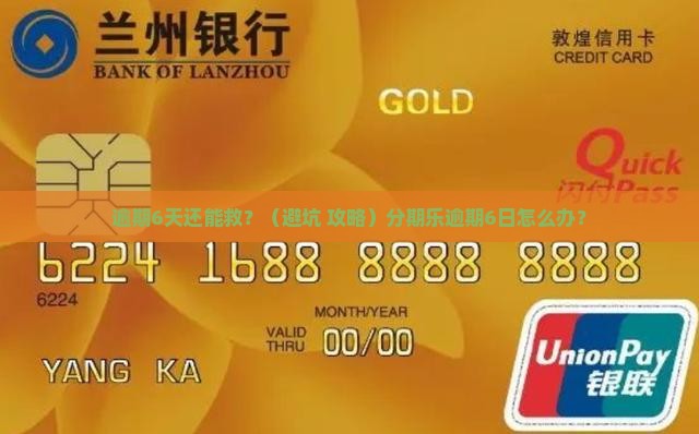 分期乐逾期6日