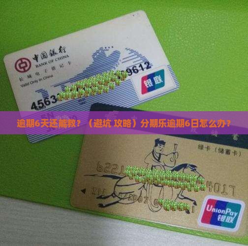 分期乐逾期6日