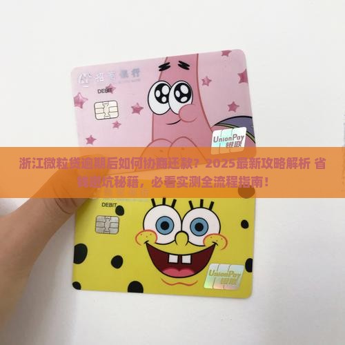 浙江微粒贷逾期协商还款步骤详解