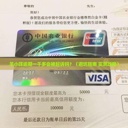羊小咩逾期一千多会起诉么如何处理