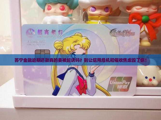 苏宁金融逾期还款将被起诉