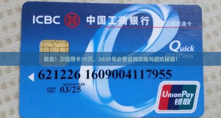 欠信用卡70万该怎么办