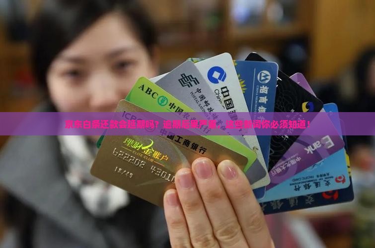 京东白条还款会延期吗