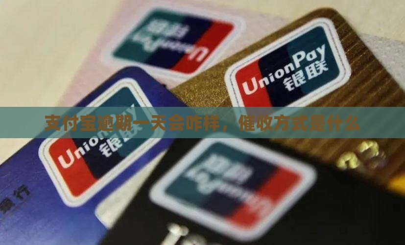 支付宝逾期一天会咋样催收还款方式是什么