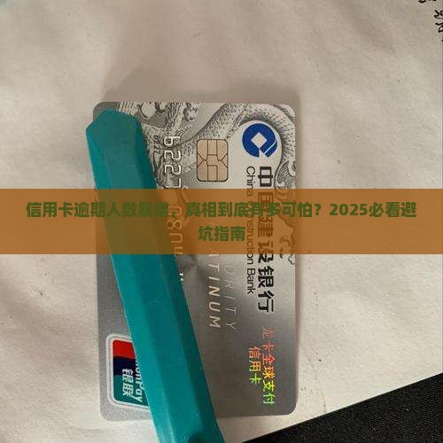 信用卡逾期人数统计