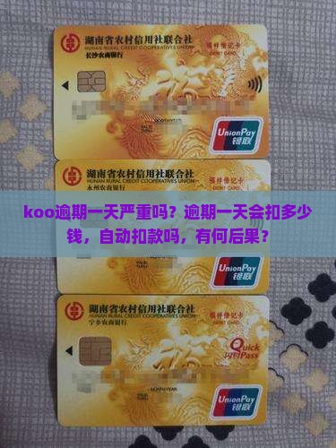koo逾期一天严重吗