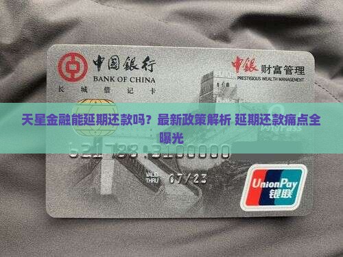 天星金融延期还款规定解析