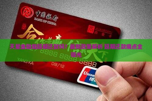 天星金融延期还款规定解析