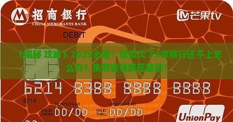 借款欠了几家银行无法偿还