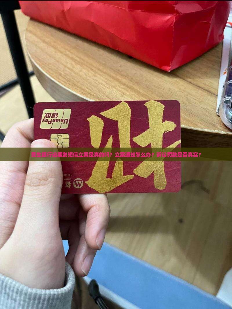民生银行逾期发短信立案