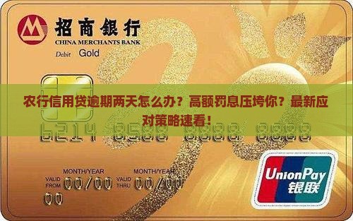 农行信用贷逾期两天怎么办
