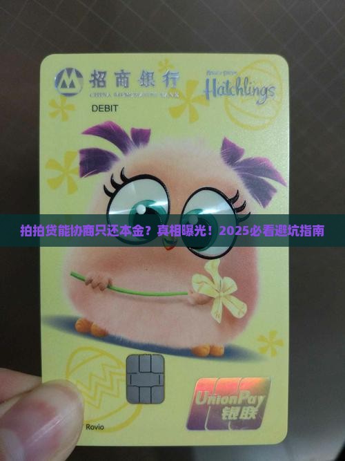 拍拍贷能协商只归还本金吗