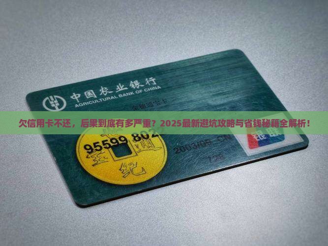 欠信用卡不还会发生什么