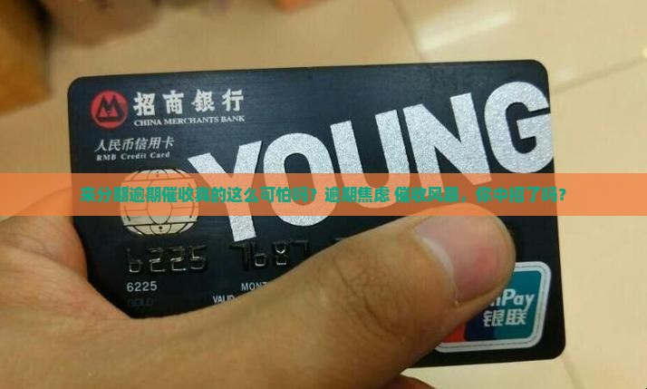 来分期逾期催收案例