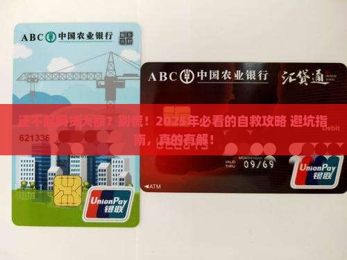 还不起网贷大额怎么办才能解决问题