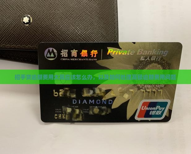 招手贷逾期费用太高应该怎么办