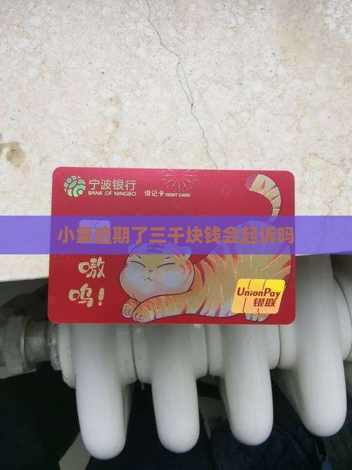 小象逾期了三千块钱会起诉吗