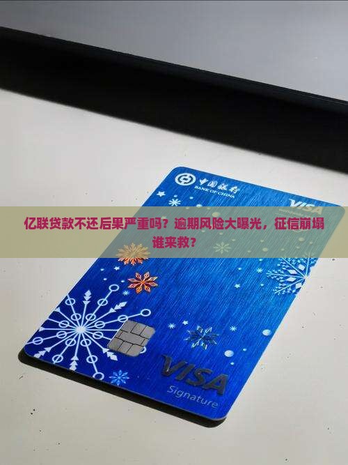 亿联贷款不还后果严重吗