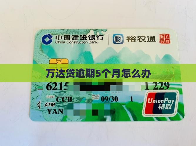 万达贷逾期5月怎么办