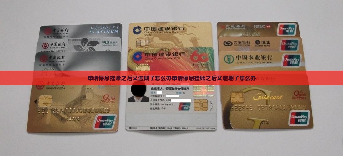 申请停息挂账之后又逾期了怎么办