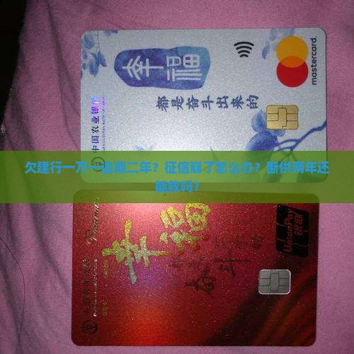 欠建行一万一逾期二年