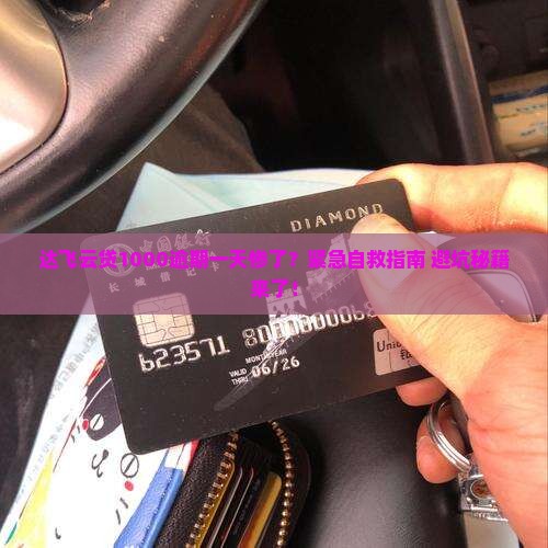 达飞云贷1000逾期一天怎么办