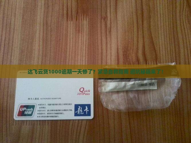 达飞云贷1000逾期一天怎么办