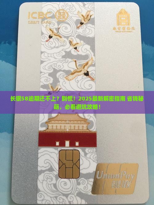 长银58逾期无力还款怎么办