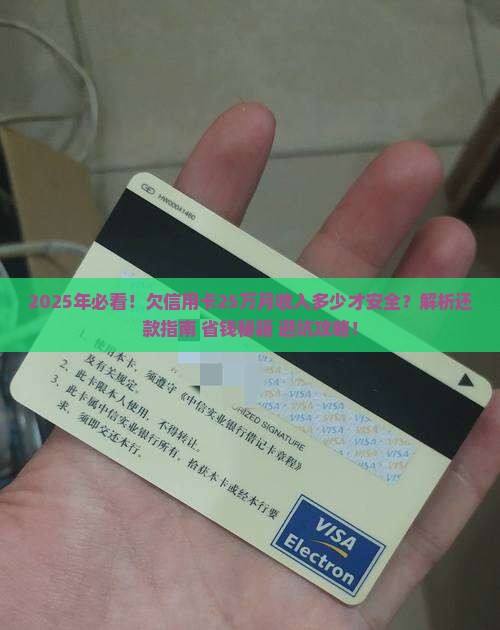 欠信用卡25万月收入多少