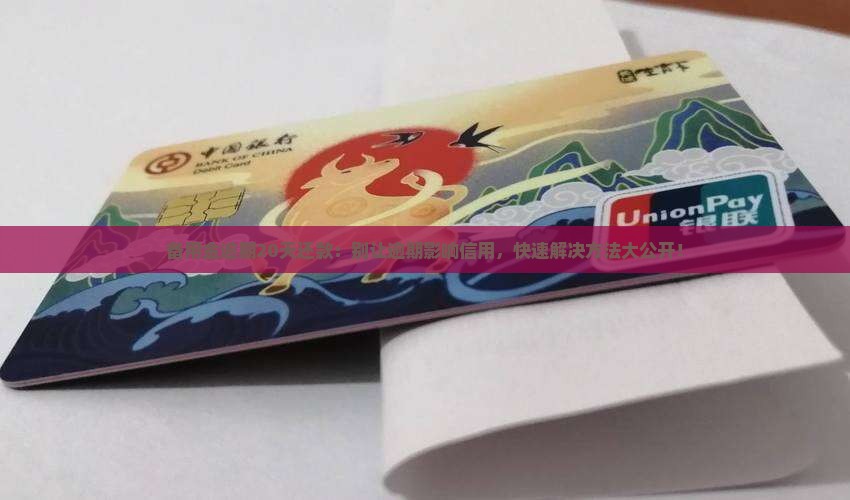 备用金逾期20天还款