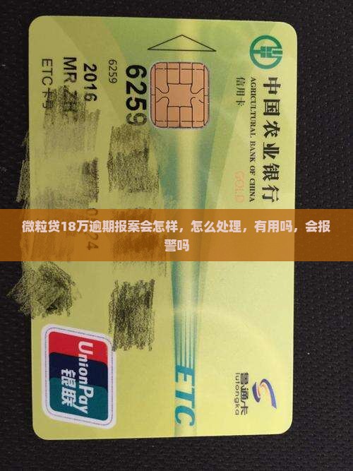 微粒贷18万逾期报案