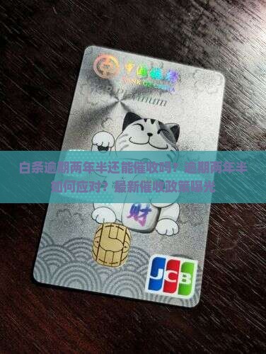 白条逾期两年半如何催收
