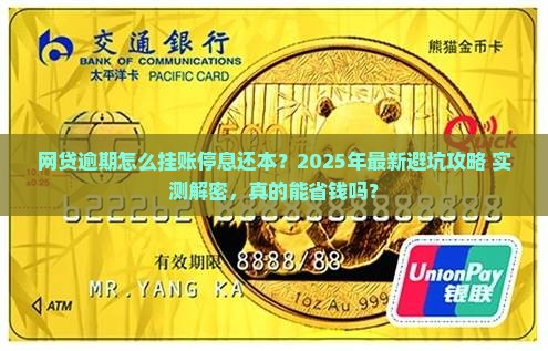 网贷逾期如何挂账停息还本