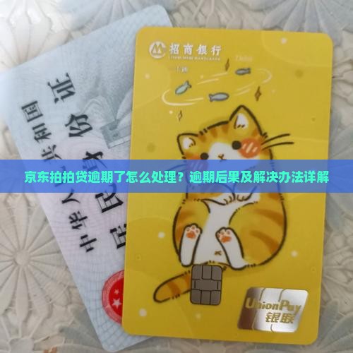 京东拍拍贷逾期了怎么处理